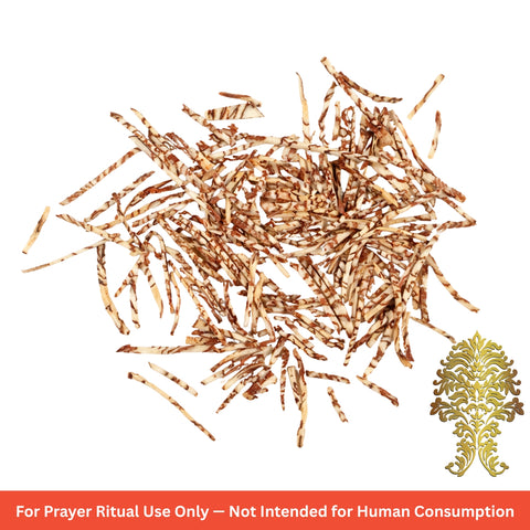 KLG Spice Plain Salli Supari — Medium Cut Betel Nuts 100g