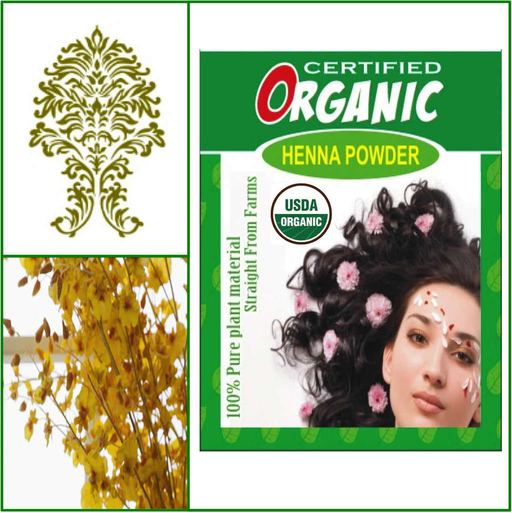 ONE Box. USDA Certified Organic Henna. Golden Brown Hair Color. 100g.