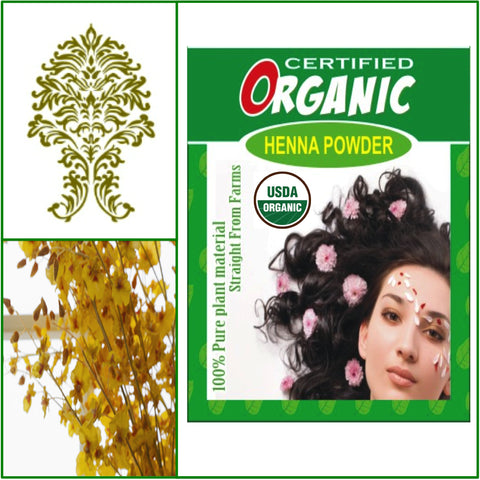 ONE Box. USDA Certified Organic Henna. Golden Brown Hair Color. 100g.