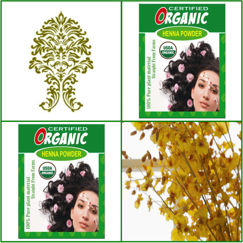 2 Boxes. USDA Certified Organic Henna. Golden Brown Hair Color. 100g Ea.